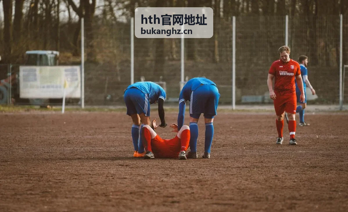 hth官网地址核验出现不一致时的记录与反馈示意